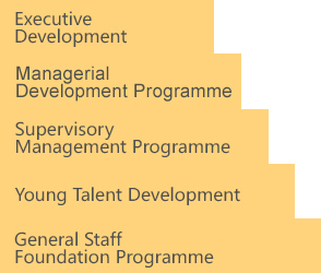 General Staff Foundation Programme; Young Talent Development; Supervisory Management Programme; Managerial Development Programme; Executive Development