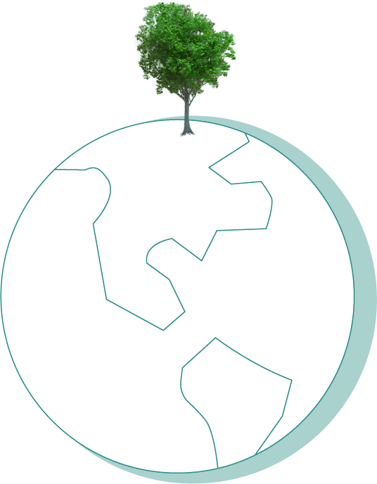 Message from the<br>Sustainability Steering Committee