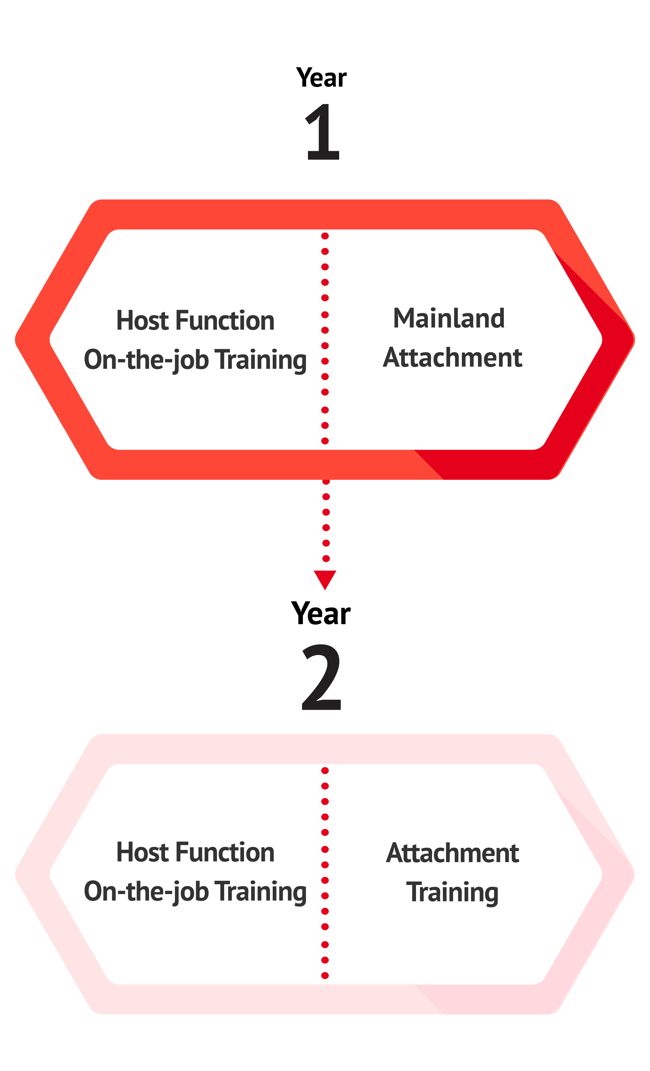 Programme Structure