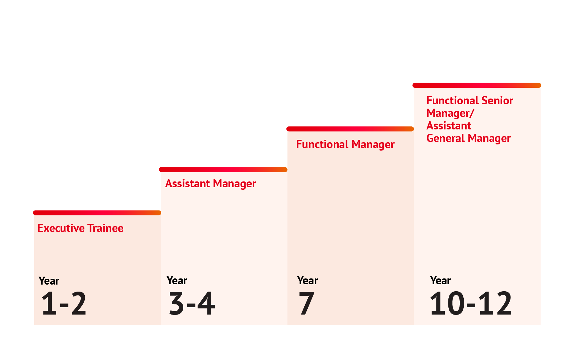 Career Path