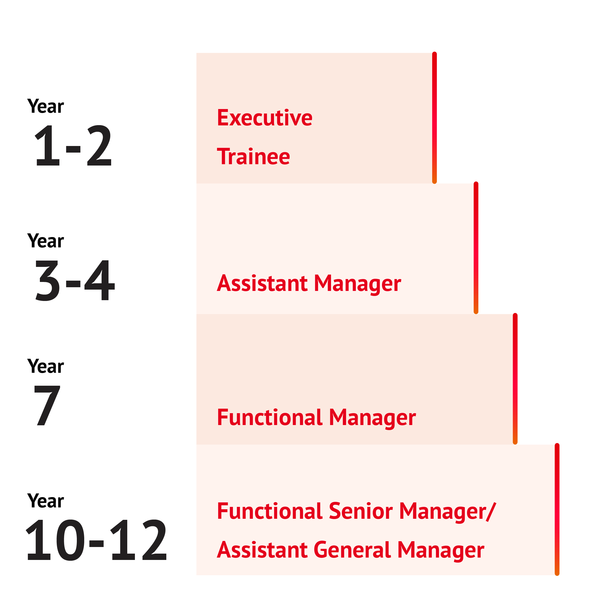 Career Path