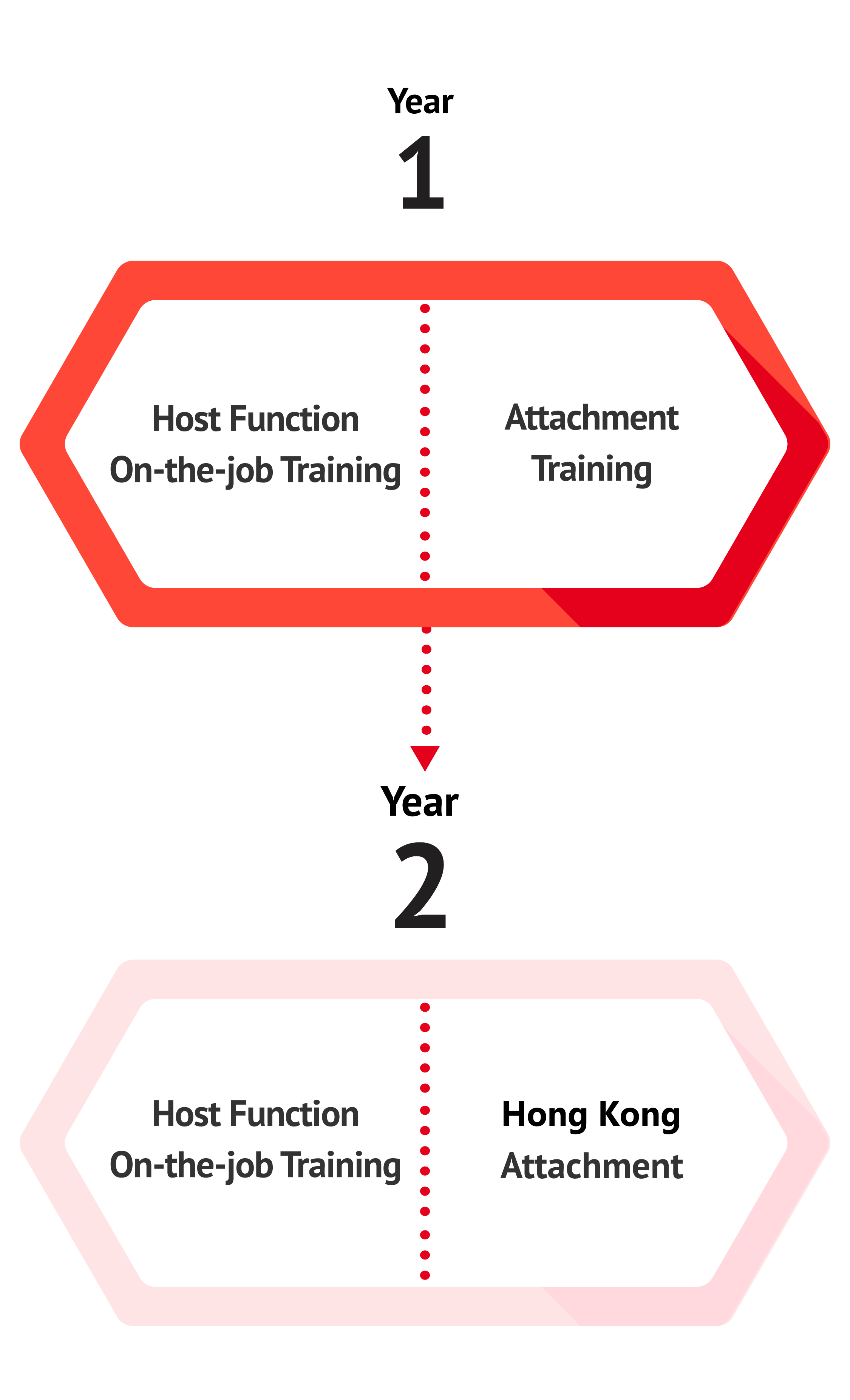Programme Structure