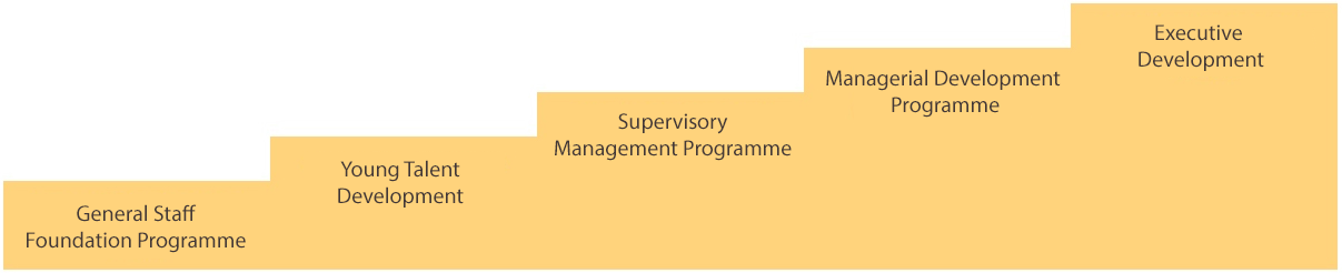 General Staff Foundation Programme; Young Talent Development; Supervisory Management Programme; Managerial Development Programme; Executive Development