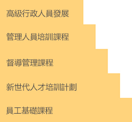 員工基礎課程；新世代人才培訓計劃；督導管理課程；管理人員培訓課程；高級行政人員發展