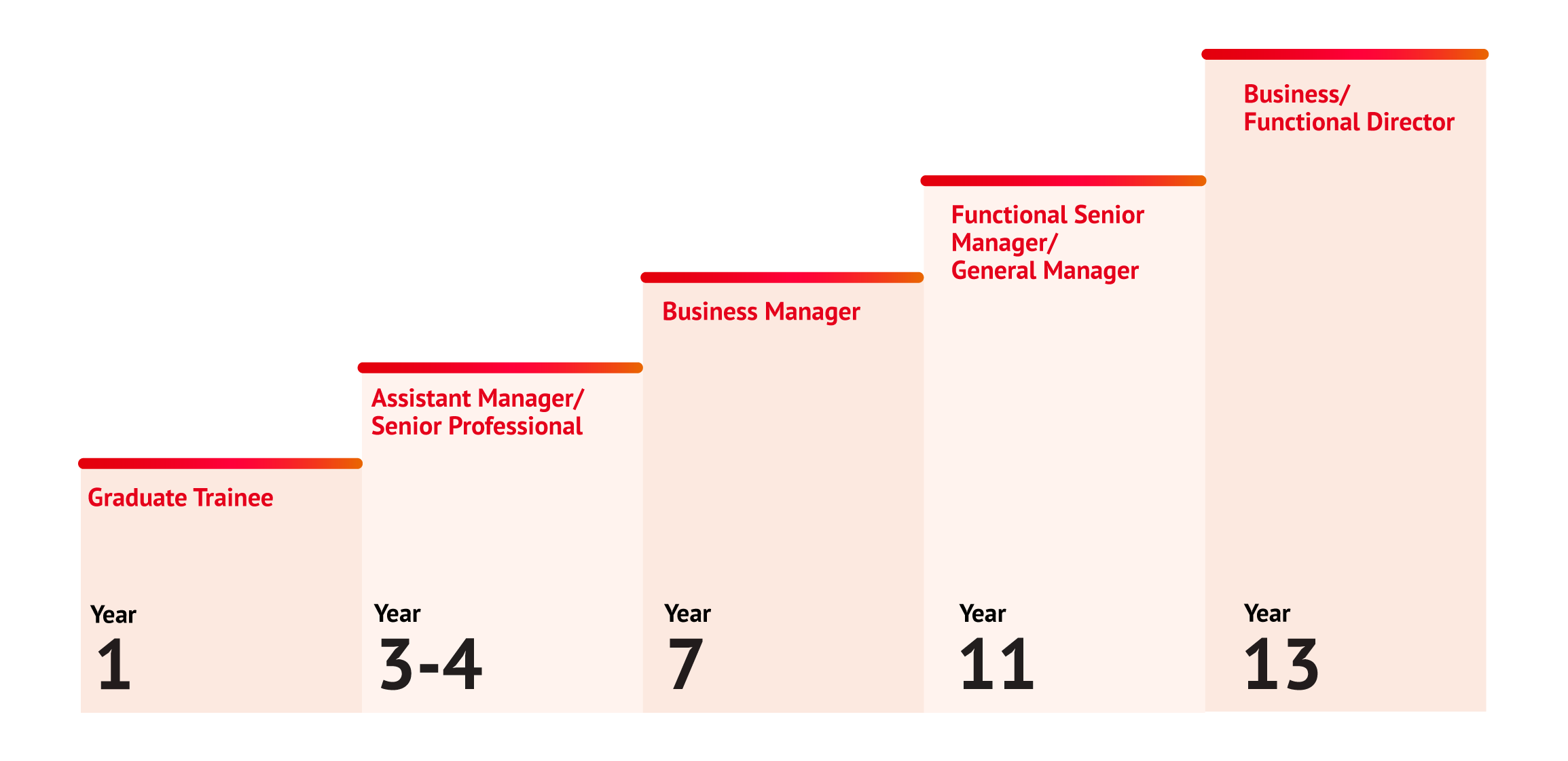 Career Path