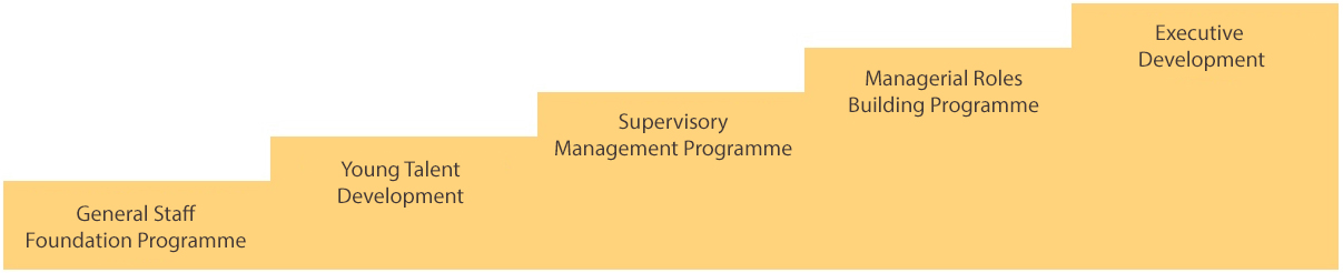 General Staff Foundation Programme; Young Talent Development; Supervisory Management Programme; Managerial Roles Building Programme; Executive Development